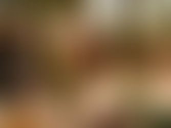 Galgorm invests £3 million to add new Forest Dens to luxury accommodation collection