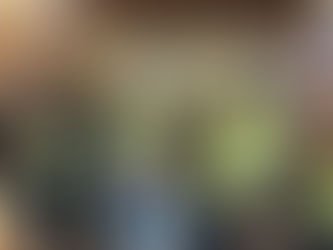 Christmas puppy warning as Minister highlights success of Belfast Harbour rescue