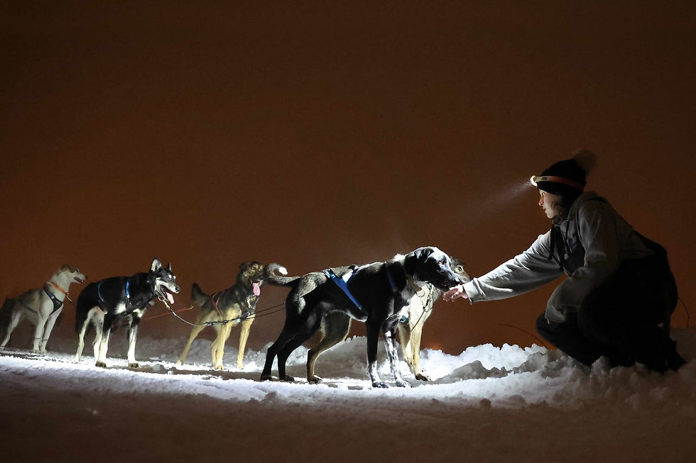 NI Children to Lapland trip
