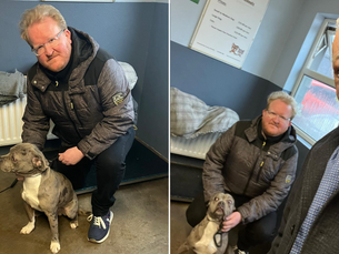 Councillors pay surprise visit to Max the dog on ‘death row’ amid concerns for it’s welfare