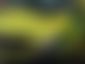 Two people taken to hospital following serious assault in Co Antrim