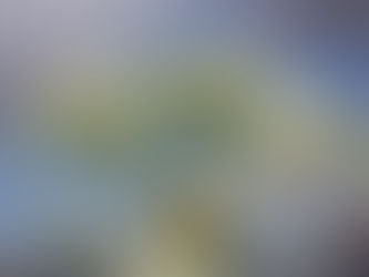 Spread of giant hogweed being controlled by ‘wooly’ good idea