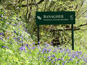 New enhanced visitor experience for popular Banagher Glen