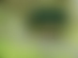 New enhanced visitor experience for popular Banagher Glen