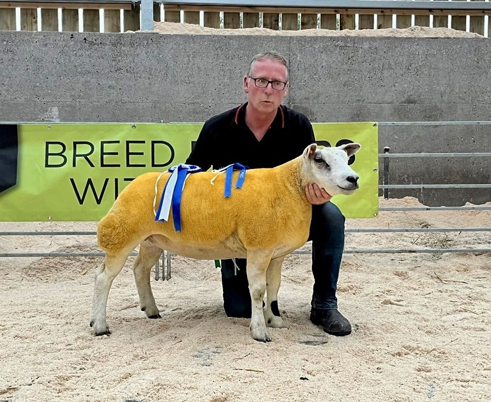 Reserve Female Champion
