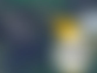 Ballymena charity secures land to build retreat lodge for families impacted by Spina Bifida