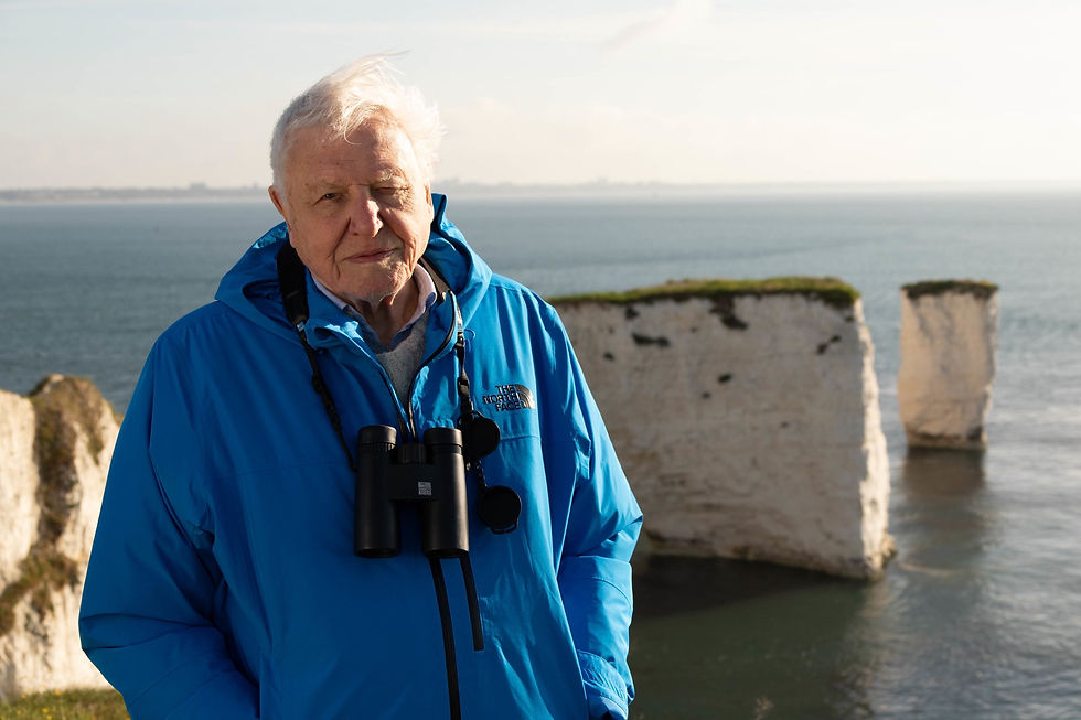 Sir David Attenborough,Sir David Attenborough introduces the Wild Isles series at dawn at Old Harry's Rocks, Dorset, U.K.