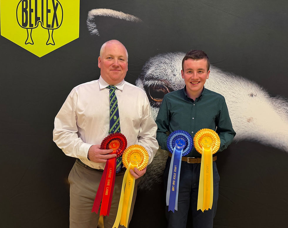 Eddie and Eoghan O’Neill with their rosettes from the Flock Competition.