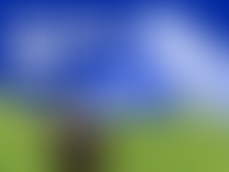 THIS WEEKEND | Excitement building ahead of return of Ballymena Show