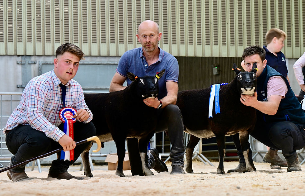 Overall Champion (sold for 6,500gns) and Reserve Champion with show judge Oliver Watson and breeder Russell Millen