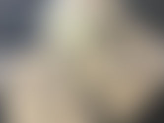 Drugs worth £425,000 seized by Organised Crime Branch in Co Antrim