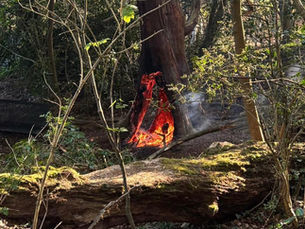 McDonald hits out at ‘mindless vandalism’ after deliberate fire at Cullybackey River Walk