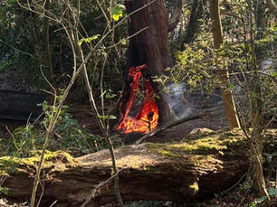McDonald hits out at ‘mindless vandalism’ after deliberate fire at Cullybackey River Walk