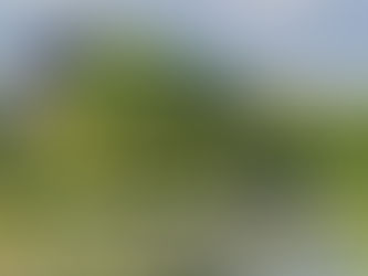 Calls for action as new report reveals shocking decline in Northern Ireland’s wildlife