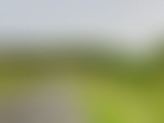 Crackdown on litter louts urged after 133 bags of rubbish collected from two roads in MEA