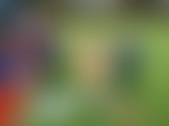 BDO NI’s Primary School Hockey Festival commences