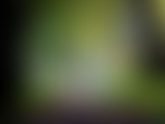 More than 600 people say closure of country park is 'not acceptable'