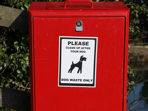 Just six fines issued for dog fouling across Mid and East Antrim in 2025 despite ongoing complaints