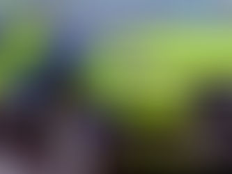 Two arrested in Ballymena following drug seizure and firearm discovery