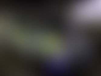 Man extradited to Poland after being arrested in Ballymena