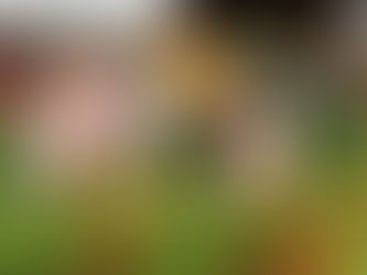 Autumn Fair returns to Belfast Botanic Gardens