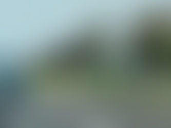 Two arrested on suspicion of driving when unfit after car driven on wrong side of A26 carriageway