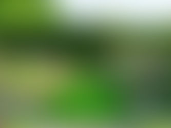 Glenarm Castle Walled Garden wins Historic Houses 2023 Garden of the Year