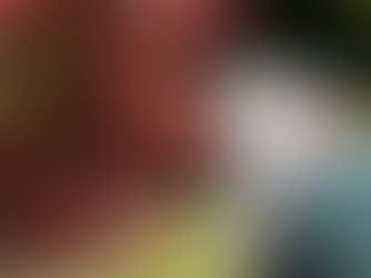 Pony therapy brings comfort and joy to Northern Ireland’s North Coast