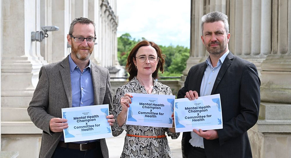 Mental health crisis services and staffing pressures pushed to top of Stormont agenda