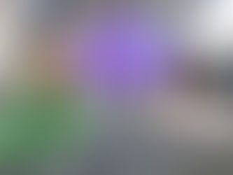 The Gallaher Trust continues support of Women’s Aid Reconnect Project with £20k award