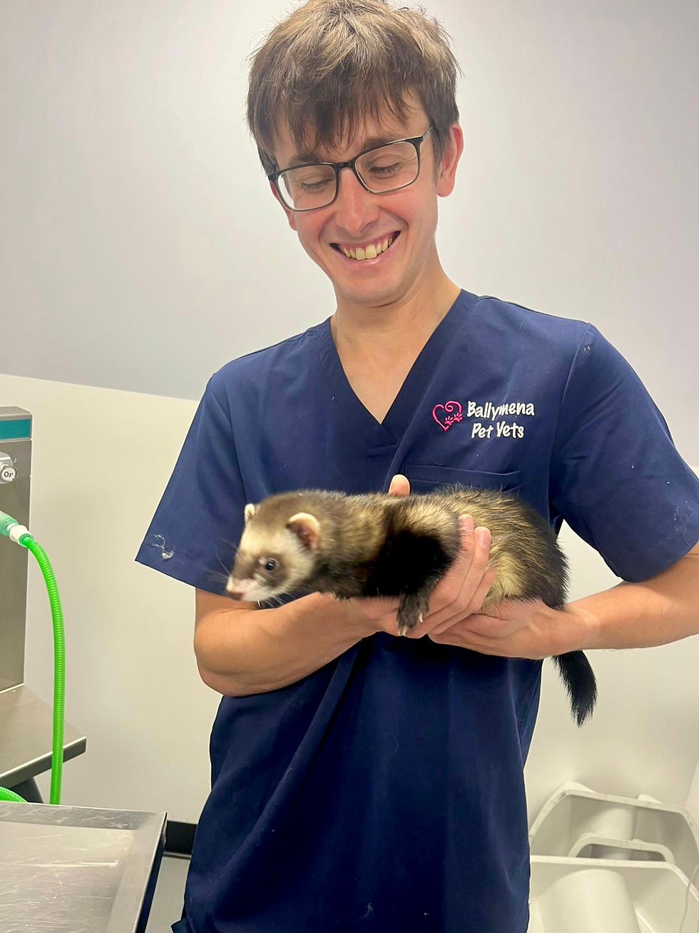 Ballymena Pet Vets veterinary surgeon Gregor Adamson MRCVS