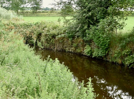 Co Antrim farmer fined for water pollution offence that led to a fish kill