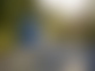 Wrightbus celebrating order for 104 Electroliner vehicles