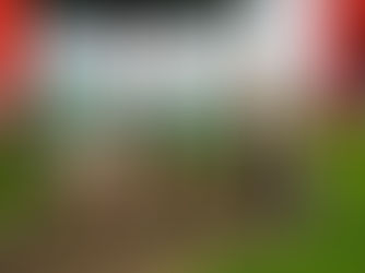 ON YOUR MARKS | Kilwaughter Minerals’ 10 mile road race now open for entries