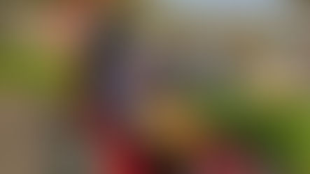 Love Hope & Faith Charity unveils Northern Ireland’s first Quadrix all-terrain mobility wheelchair