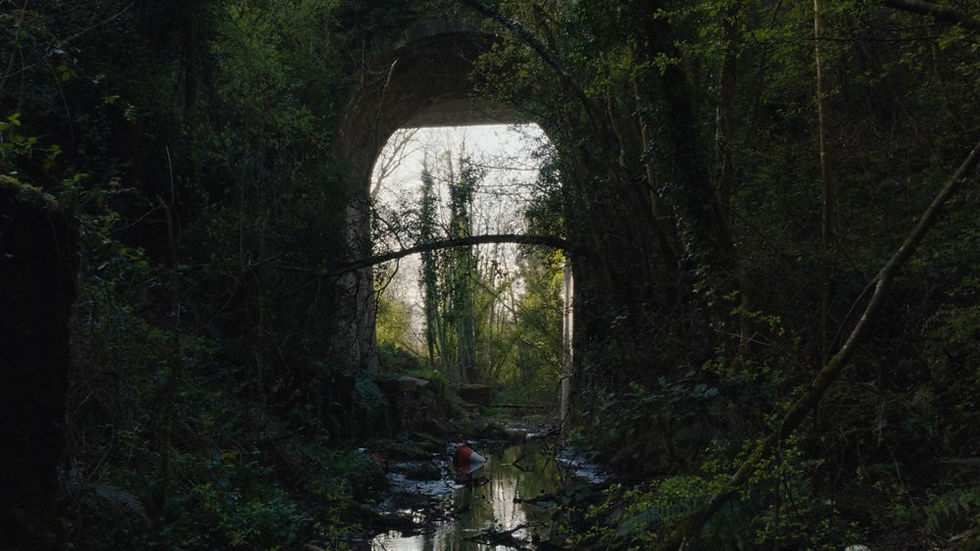 The Horseshoe Bridge, Monaghan