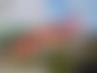 Northern Trust plan approved for births to move from Causeway to Antrim Area Hospital