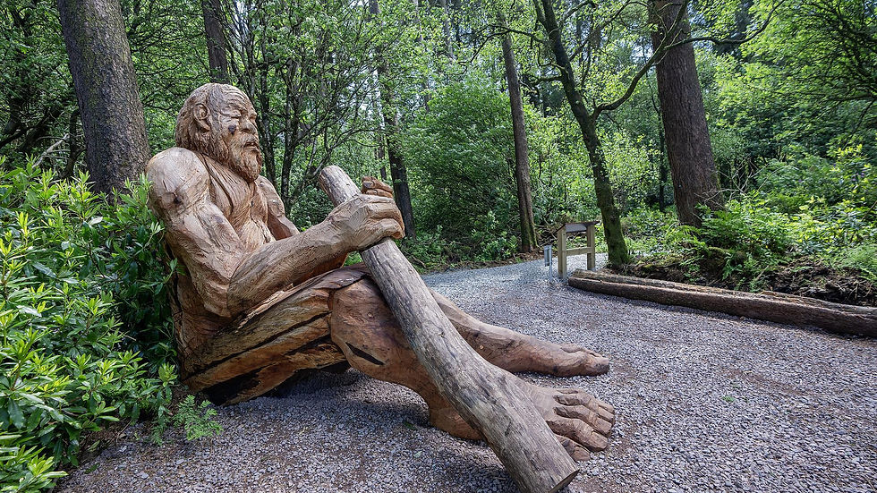 The new magical trail at Pomeroy Forest is part of a £7m project designed to enhance its potential as a major visitor attraction.