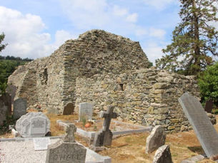 Fairy Tree, ancient graves and medieval ruins: why a Co Down home plan was rejected