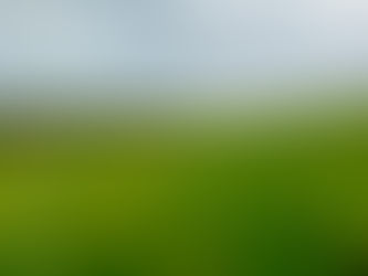 Council to get money from trees at Carnfunnock Country Park