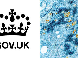 Future pandemic ‘a certainty’: new UK strategy sets out sweeping plans — with major implications for NI