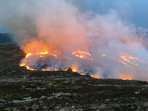 95 firefighters battle Mourne Mountains wildfires as Muir warns of ‘real and significant’ impact and risk to lives