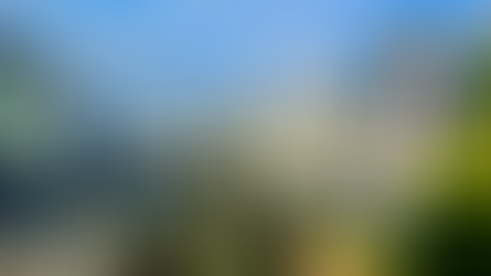 “This behaviour must stop”: McDonald appeals over Ahoghill incidents