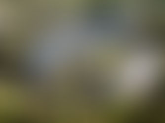 Galgorm celebrates World Wellness Weekend with stellar line up of free events this September