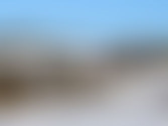 Translink announces Christmas timetables