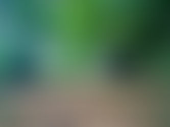 NI Water to pump £700K into upgrading wastewater infrastructure in Ballygarvey area