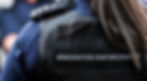 Immigration enforcement officer
