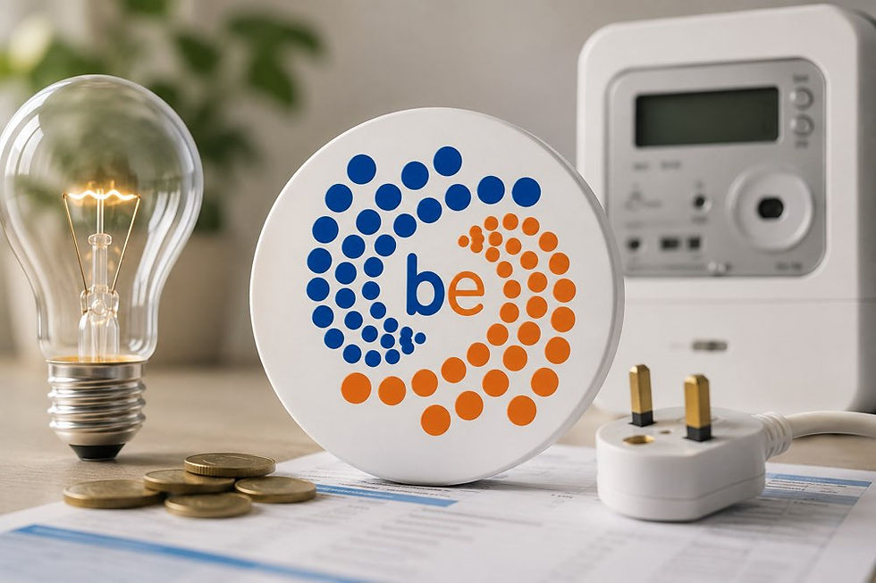 Budget energy logo and lightbulb and plug