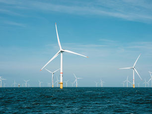 Offshore wind farm near Glenarm sparks tourism and wildlife concerns