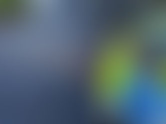 Police investigate after petrol bomb thrown at Ballymena home